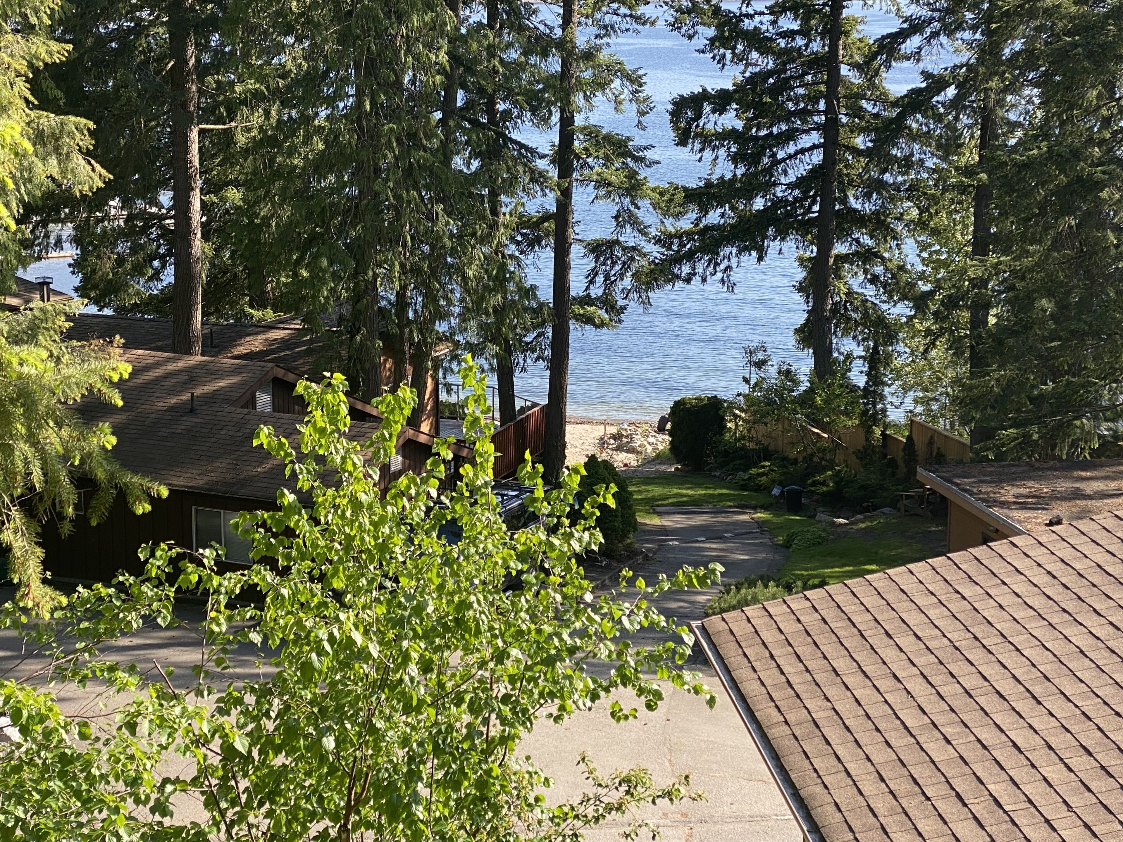 Un quartier résidentiel offrant une vue sur un lac, entouré de grands arbres et comprenant une maison avec un toit en pente.