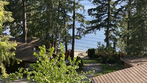 A residential area with a view of a lake, surrounded by tall trees and a house with a sloped roof.