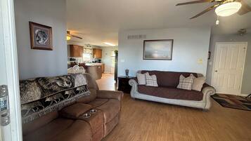 智能電視、壁爐