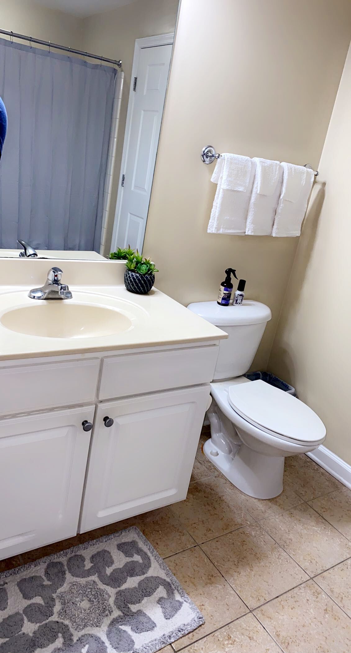 Une salle de bain avec un lavabo, des toilettes et un porte-serviettes.