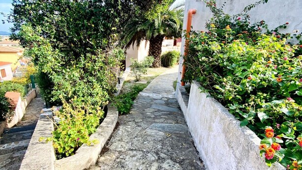 A narrow stone pathway flanked by lush greenery and flowering plants, leading to a building with a white facade.