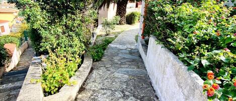 Terrein van de accommodatie