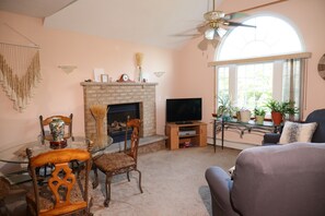 Télévision, cheminée, livres, chaîne hi-fi