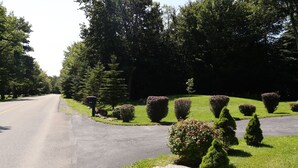 A residential street with a driveway leading to a house, surrounded by well-maintained hedges and trees.