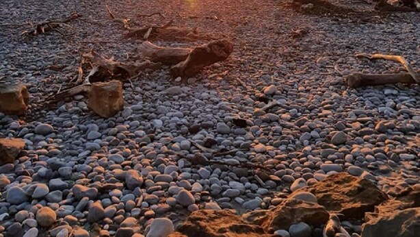 En strand med sten og drivtømmer, en solnedgang i baggrunden og rolige bølger.
