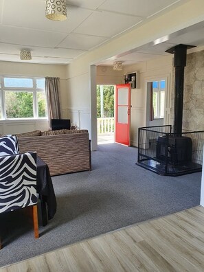 Smart TV, fireplace, books