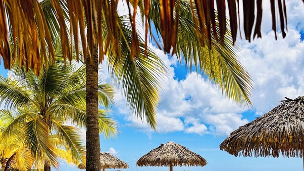 A beach with palm trees and thatched umbrellas. - Rêves de Soleil: Sweet Sunset Lodge with panoramic sea view (Sainte-Anne)