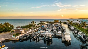 A marina with boats docked, surrounded by palm trees and buildings.