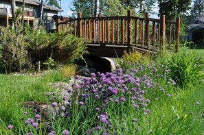 A wooden bridge over a stream, surrounded by lush greenery and purple flowers. - Mh152 Mountain Harbor Solace (Whitefish)
