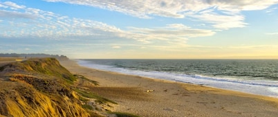 .5mi from Poplar Beach and Main Street