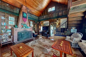 Televisión, chimenea, reproductor de DVD y libros