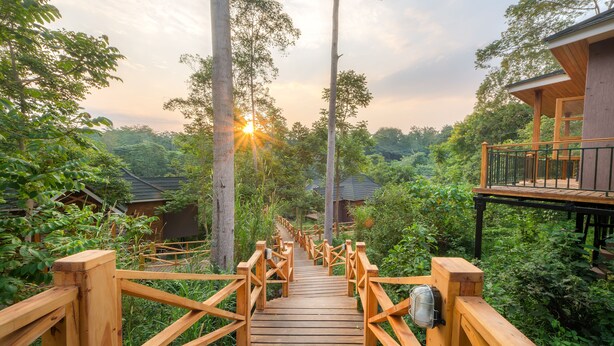 A wooden bridge leading to a wooden building with a balcony, surrounded by lush greenery. - Chimpundu Lodge (Fort Portal)