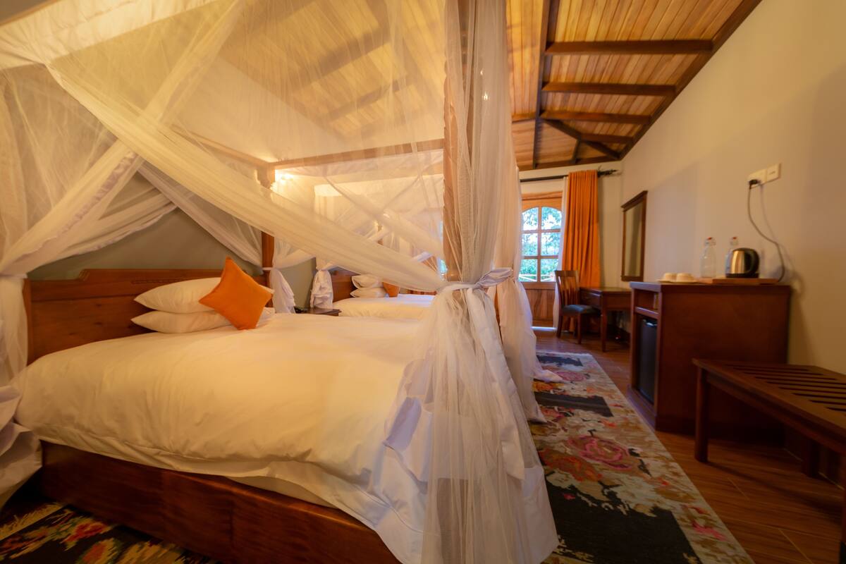 A room with a bed under a canopy, a desk, and a chair.