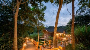 A wooden bridge with lights leading to a lodge surrounded by trees. - Chimpundu Lodge (Fort Portal)