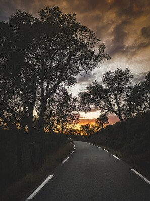 Una carretera bordeada de árboles, con un atardecer de fondo.