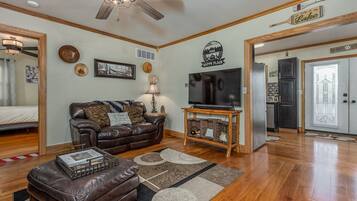 Smart TV, fireplace, books