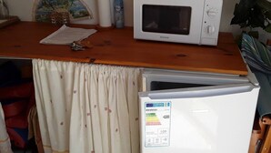 A kitchen with a microwave and a refrigerator. There is a curtain partially covering the window, and a plant is visible in the corner.