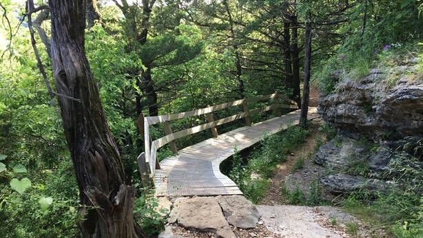 Eine Holzbrücke in bewaldeter Landschaft, mit einem steinigen Pfad, der darauf führt.