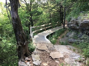 A wooden bridge in a forested area with a rocky path leading up to it.