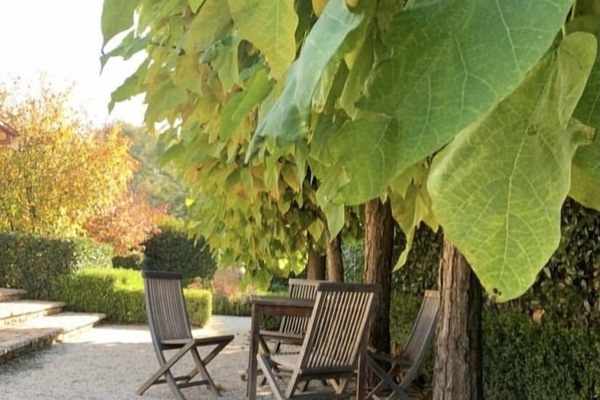 Autumn and the leaves are turning
