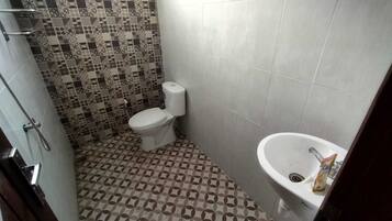 Combined shower/bathtub