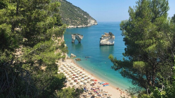 Une plage à l’eau turquoise et limpide, bordée de formations rocheuses et de pins.