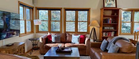 Télévision, cheminée, espaces bureaux