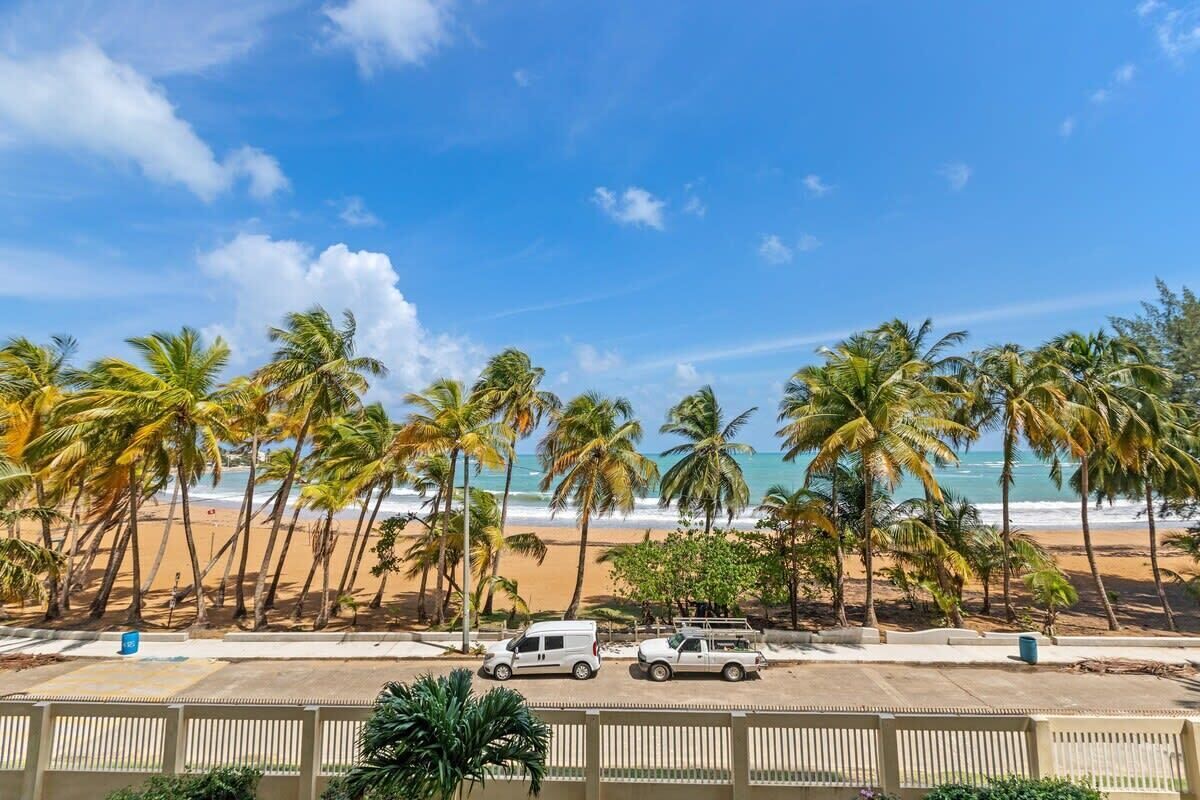A beach view with palm trees and a parking area with vehicles.