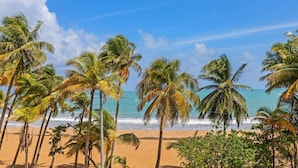 Uma praia com palmeiras e um céu azul límpido.