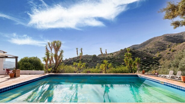 Una piscina rectangular con agua cristalina azul, rodeada de un solárium con baldosas, palmeras y una colina al fondo.