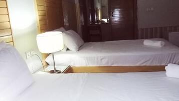 Deluxe Double or Twin Room | Iron/ironing board, free WiFi