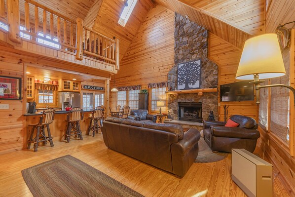 Smart TV, fireplace, books