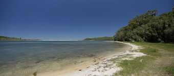 From the Treetops to the Lakeside in seconds!