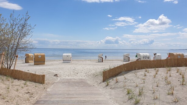 Una playa con pasarelas de madera que conducen a cabañas de playa numeradas.