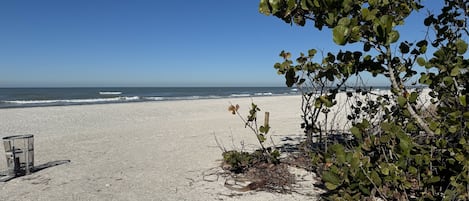 Playa en los alrededores