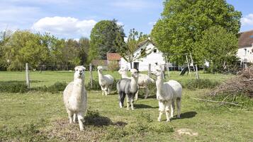 Enceinte de lâhĂ©bergement