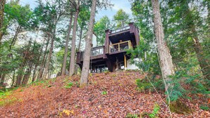 Eine moderne Holzjagdgenußhütte inmitten eines Waldes, umgeben von hohen Bäumen und einem mit Laub bedeckten Boden.