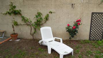 Una silla lounge blanca en un jardín, con una planta en maceta y un rosal.