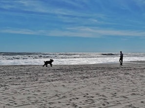 Una playa cerca