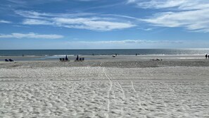 On the beach
