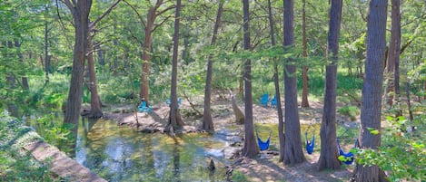 المنطقة المحيطة بالمنشأة