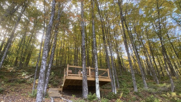 A wooden deck in a forest with a staircase leading up to it. - Custom-built Tiny House on forested lot near Quechee (Hartland)