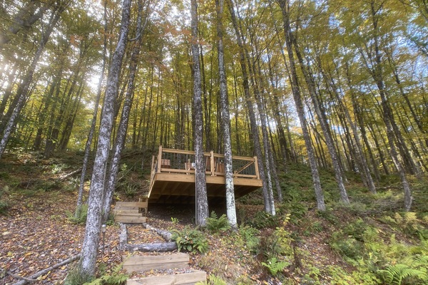 View up the hill to the tree deck