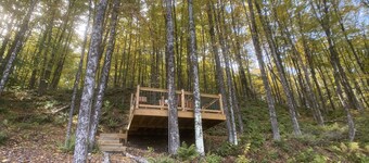 Custom-built Tiny House on forested lot near Quechee