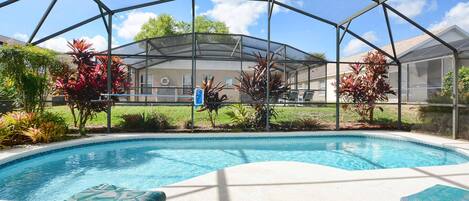 A swimming pool with a glass enclosure, surrounded by lounge chairs and tropical plants.