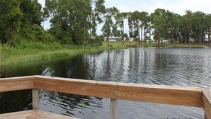 A wooden dock extending over a calm body of water with dense greenery and trees in the background.