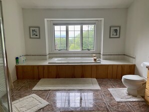 Combined shower/bathtub, jetted bath, hair dryer, towels - Private home on 37 acres with stunning mountain views (Shaftsbury)