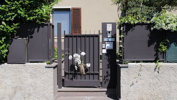 Detalle exterior