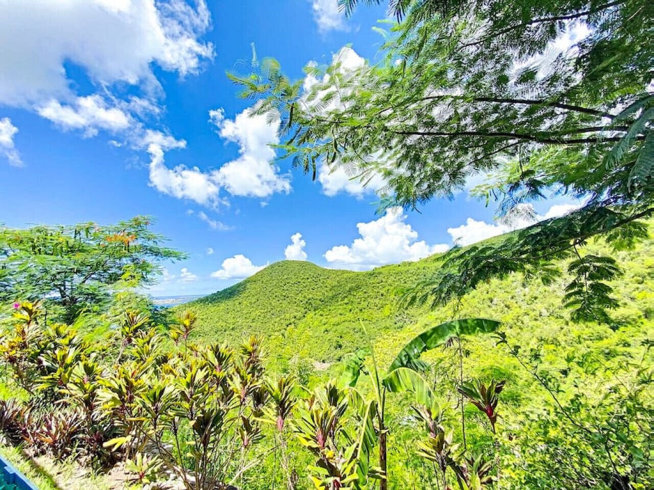 A lush green landscape with a hill in the background.