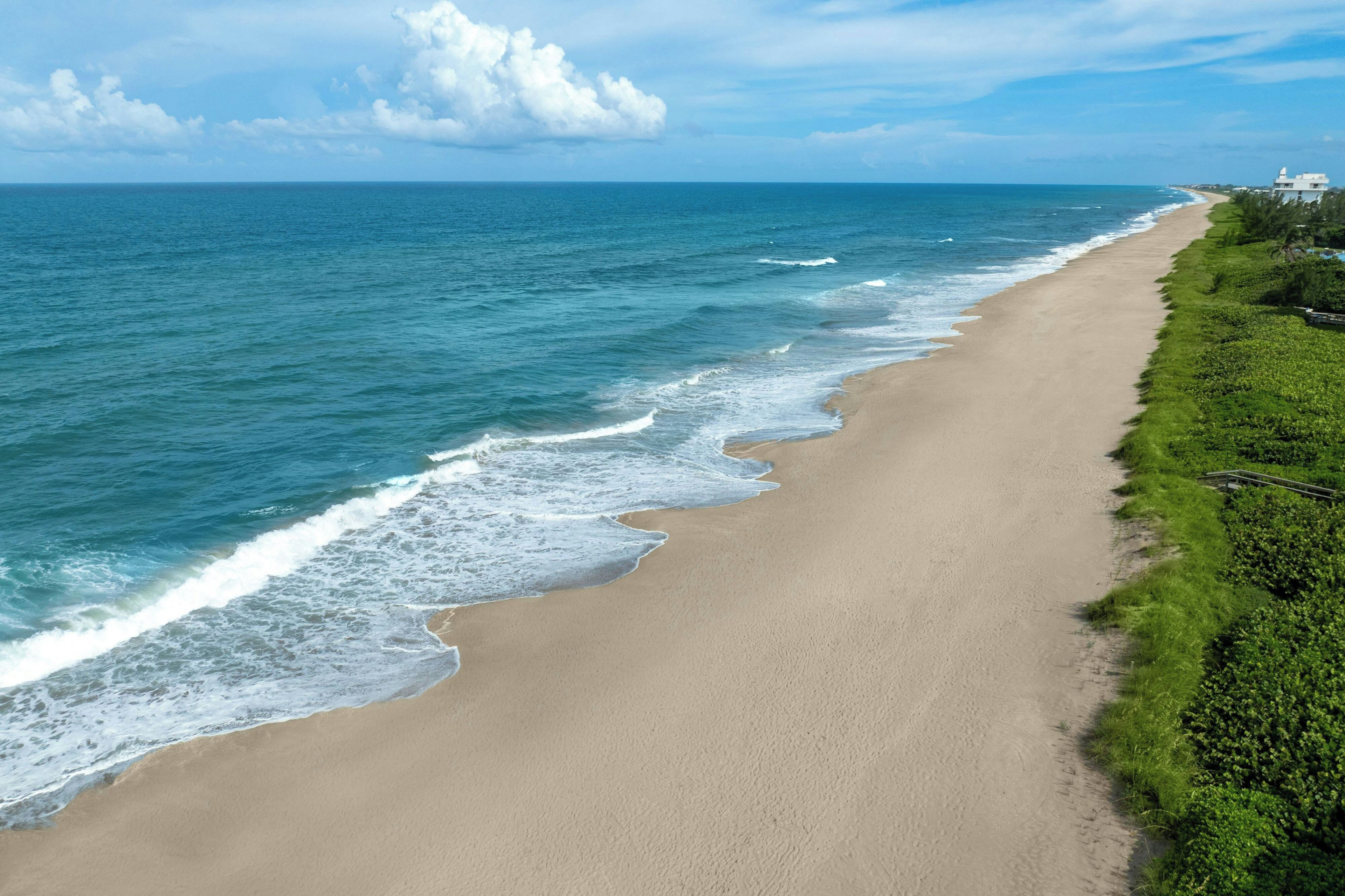 Une plage offrant une vue dégagée sur l’océan et un sentier longeant le rivage.